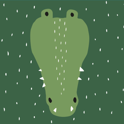 Mr. Crocodile